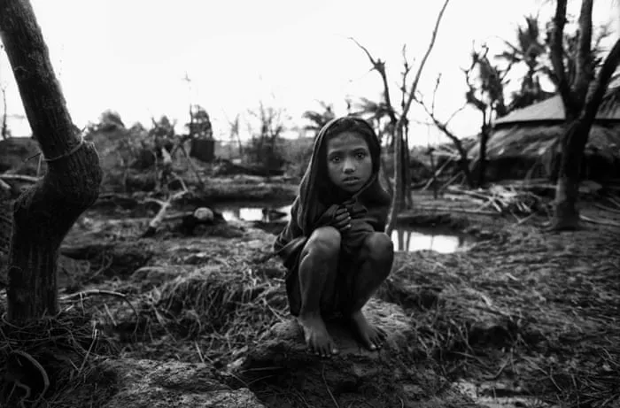 民兵葛二蛋下载地址 - 消失的部落获奖纪录片海报
